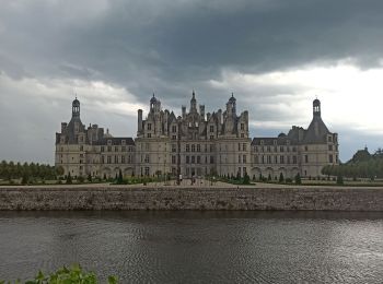 Percorso Bici ibrida Muides-sur-Loire - Muides Blois Chambord  - Photo