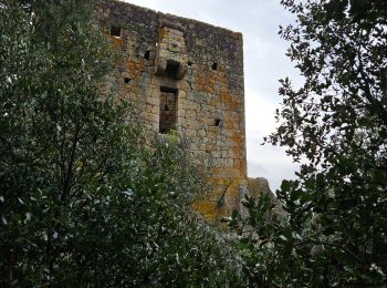 Randonnée Marche Grosseto-Prugna - frassu - Photo