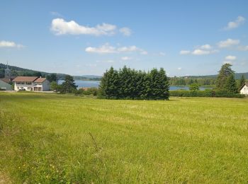 Percorso Bici da strada Nanchez - Morbier lac de l'abbaye  - Photo