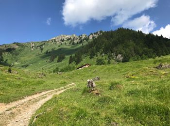 Randonnée Marche Abondance - Tavaneuse  - Photo