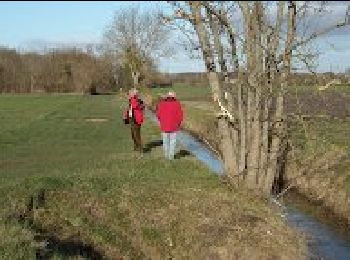 Tocht Te voet Médis - 17  Médis ter  7.8 km - Photo