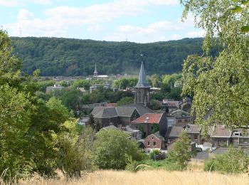 Tocht Stappen Luik - Grivegnée Landes de Streupas - Photo