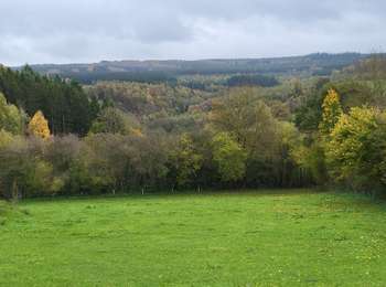 Trail Walking Tenneville - Wyompont 241025 - Photo