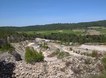 Randonnée Marche Calvisson - 30 Calvisson les moulins - Photo