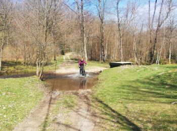 Randonnée V.T.T. Gedinne - VTC Moulin de Boiron - Photo