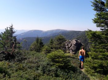 Trail Walking Stosswihr - Tour du belvedere avec le passage sur les crêtes  - Photo