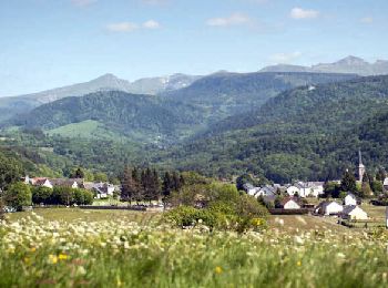 Tocht Stappen Saint-Sauves-d'Auvergne - St_Sauves_Chateauneuf - Photo