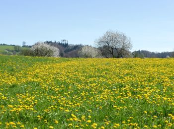 Tour Zu Fuß Nottwil - Sempachersee-Moosweg - Photo