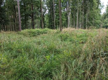 Percorso A piedi Týn nad Vltavou - [Ž] Nad Překvapením - Semenec (rozhl.) - Photo