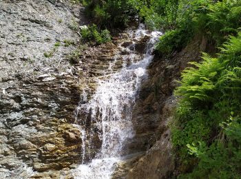 Randonnée Marche Untertauern - Ober - Photo