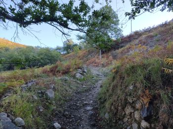 Tocht Stappen Arnave - Les 4 cols autour d'Arnave - Photo