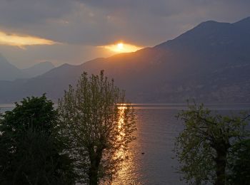 Tour Zu Fuß Brenzone sul Garda - Percorsi tra il bosco e gli ulivi - Photo