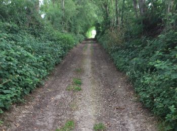 Tour Wandern Pont-à-Celles - BE-Pont-à-Celles - Autour du ruisseau de Rosseignies - Photo