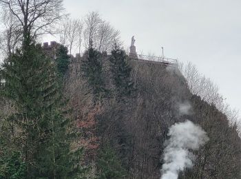 Tocht Stappen Schirmeck - Schirmeck : de la Côte du Château au Strutof - Photo