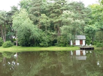 Tocht Te voet Zutendaal - Roelen Gele zeshoek - Photo