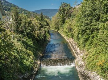 Randonnée A pied Oensingen - Oensingen - Kestenholz - Photo