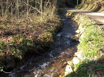 Trail Walking Hasparren - Ursuya  - Photo