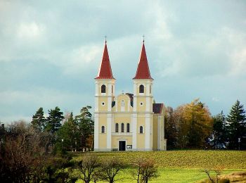 Randonnée A pied Gemeinde Lichtenegg - Lichtenegg - Tafern - Schlag - Photo