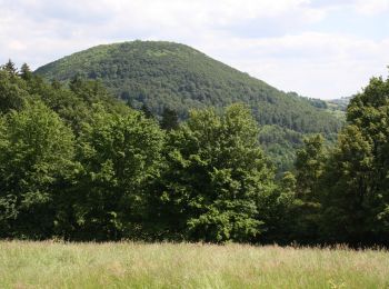 Tour Zu Fuß Sinntal - Ulrich von Hutten Pfad - Photo