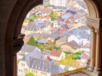 Tocht Stappen Vianden - Itinérant Luxembourg Jour 6 : Boucle autour de Vianden - Photo
