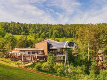 Percorso A piedi  - Gondelbahn - Wasserfallen - Photo