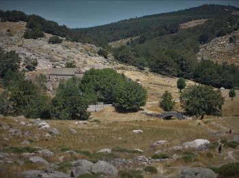 Tour Zu Fuß Pont de Montvert - Sud Mont Lozère - SityTrail - lhopital - Photo