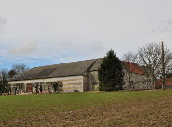 Tocht Te voet Comblain-au-Pont - CB13 Neuve Cense - Chession - Saint-Martin - Grottes - Mont - Anthisnes - Sart - Photo