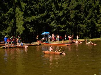 Percorso A piedi Sonnberg im Mühlkreis - Mühlviertler Sterngartl Rundweg - Photo