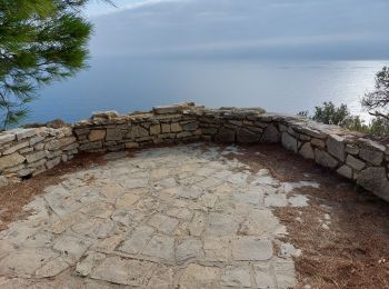 Excursión Senderismo La Ciotat - la ciotat chapelle nd de la garde. à villa Teychene   - Photo