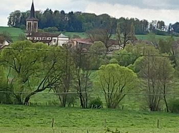 Randonnée Marche Uxegney - uxegney parcours du cœur ❤️  - Photo