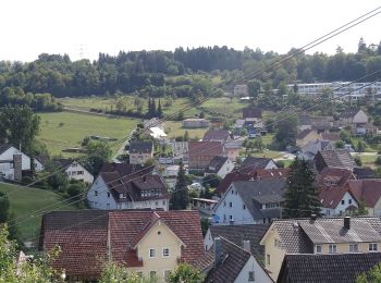 Tocht Te voet Wildberg - Sulz am Eck - Wildberg - Photo