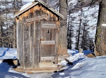 Randonnée Raquettes à neige Molines-en-Queyras - Sommet Buchet- Queyras  - Photo