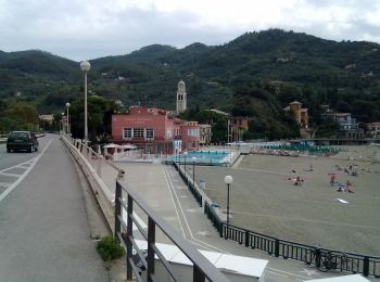 Tocht Te voet Monterosso al Mare - Sentiero Verde Azzurro: Monterosso (Fegina) - Levanto - Photo