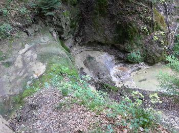 Percorso A piedi Zurigo - Milchbuck - Gockhausen - Photo