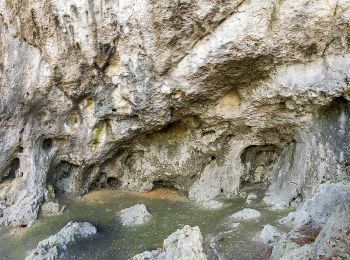 Excursión A pie Betzenstein - Doerfer Rund um Betzenstein - Photo