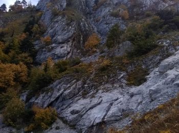 Randonnée Marche Tréminis - Courtier, les arçons, Rochasac  - Photo