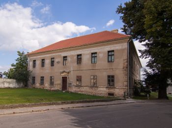 Trail On foot Chorušice - [M] Mělnická Vrutice - Zahájí - Photo