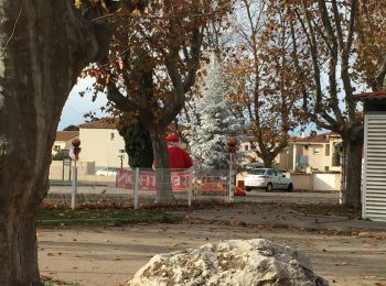 Tocht Stappen Istres - Tour étang dec2020 - Photo