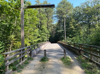 Trail Walking Oud-Heverlee - Meedael Bos st Jorisweet weg parking 16 km - Photo