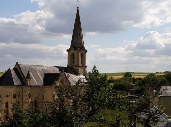 Tocht Stappen Cinais - MAINE ET LOIRE: CINAIS - Photo