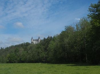 Trail Horseback riding Houyet - Trail Houyet - Collyre - Photo
