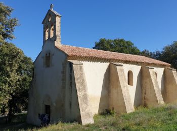 Trail Walking Peyrolles-en-Provence - peyrolles.canal - Photo