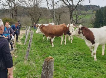 Randonnée Marche Villers-le-Lac - Saut du Doubs - Photo