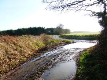 Tour Zu Fuß Winchester - Soberton and Newtown Millennium Walk - Photo