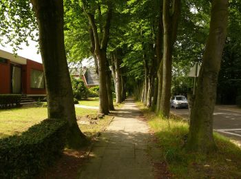 Tour Zu Fuß Zemst - 5 km looproute - Photo