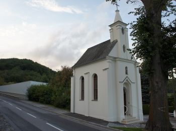 Trail On foot Gemeinde Draßmarkt - Karl bzw. Oberrabnitz - Fernblick Karl - Entenstein - Radigundenstein - Photo