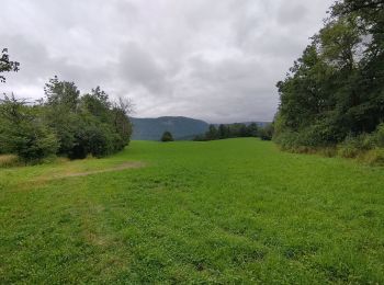 Excursión Senderismo Le Frasnois - balade des cascades du Hérisson  - Photo