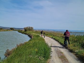 Tocht Mountainbike Port-la-Nouvelle - Port la Nouvelle ( parking île Ste Lucie ) Bages d 'Aude - Photo