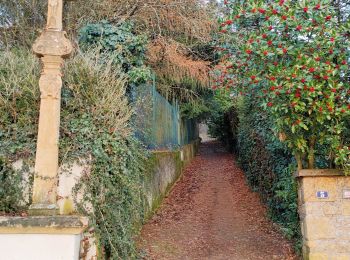 Tocht Stappen Metz - depuis route de lorry par plappeville et Lorry - Photo