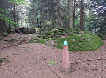 Randonnée Marche Saint-Dié-des-Vosges - Massif de l'Ormont et ses rochers remarquables - Photo